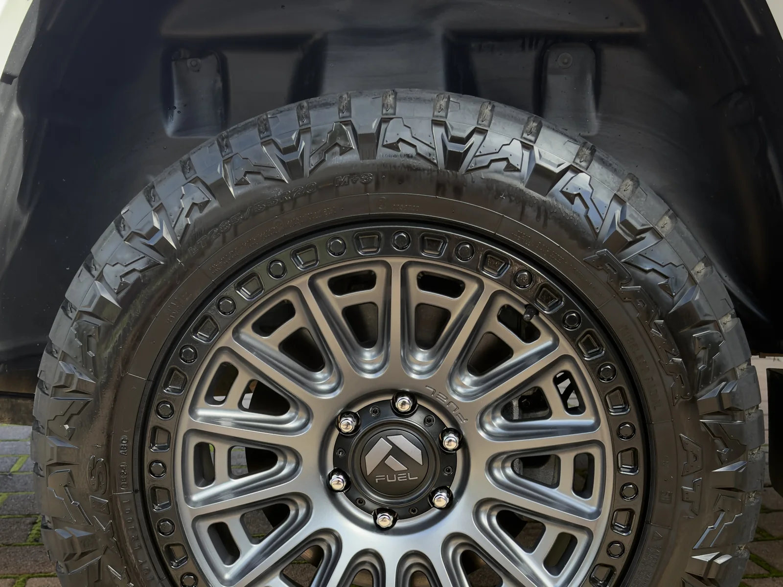 Wheel and guard detail